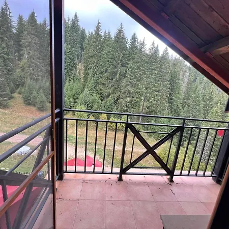 Cozy At The Castle -