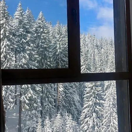 Cozy At The Castle -
